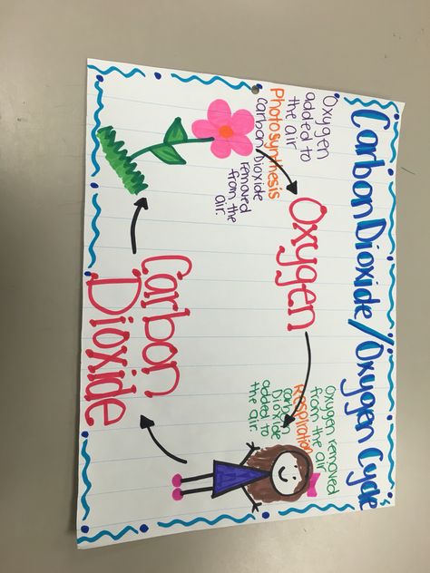 Carbon dioxide - oxygen cycle Carbon Dioxide Oxygen Cycle, Carbon Dioxide Cycle, Oxygen Cycle, Cycle Drawing, Teaching Portfolio, Nitrogen Cycle, Carbon Cycle, Teaching Degree, 5th Grade Science