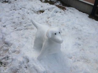 How to Make a Snow Dog Sculpture : 3 Steps - Instructables Snow Dog, How To Make Artificial Snow, Snow Sculptures Easy, Dog Snow Pictures, Dog In Snow Photography, Rectangular Prism, Snow Sculptures, Big Balls, Kinds Of Dogs