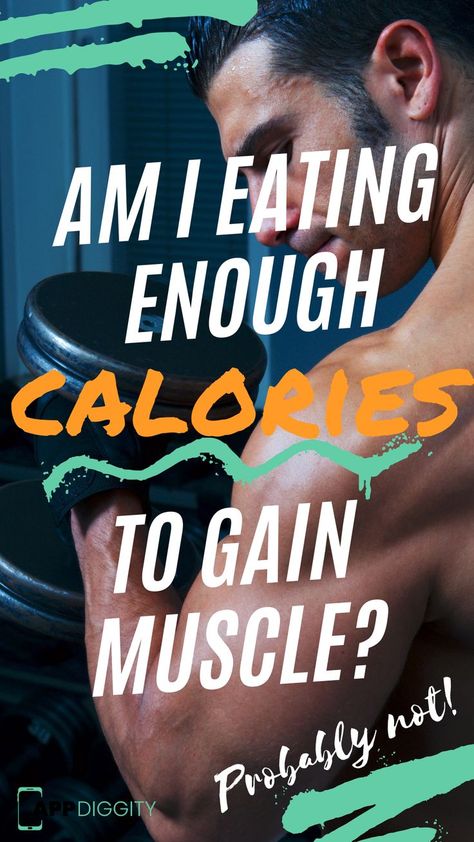 Calorie Intake To Gain Muscle, Eating To Gain Muscle, Muscle Building Diet, Slow Metabolism, Effective Workout Routines, Muscle Building Workouts, Bodyweight Workout Beginner, Workout Regimen, What Happened To You