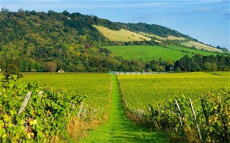 Box Hill, near Dorking, Surrey: one of the best picnicking spots in England? #perfectpicnic #joules Picnic Treats, Beautiful Places In England, Uk Bucket List, Cool Places To Go, Emma Woodhouse, Box Hill, Places In England, Kingston Upon Thames, Surrey England