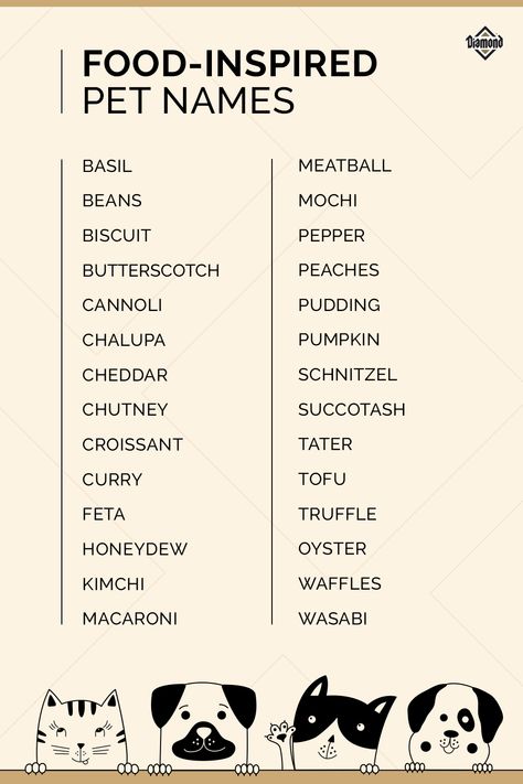 Did you just adopt a dog or cat and are wondering what to name them? Name your pet after something you love, like food! From Tofu and Feta to Mochi and Tater, check out these food-inspired pet names. #PetNames #NameIdeas Pet Names For Animals, Dog Names Food Related, Names For Hedgehogs, Touchbar Pet, Adopt Me Names For Pets, Cute Hedgehog Names, Cute Cat Names Aesthetic, Aesthetic Names For Cats, Food Pet Names