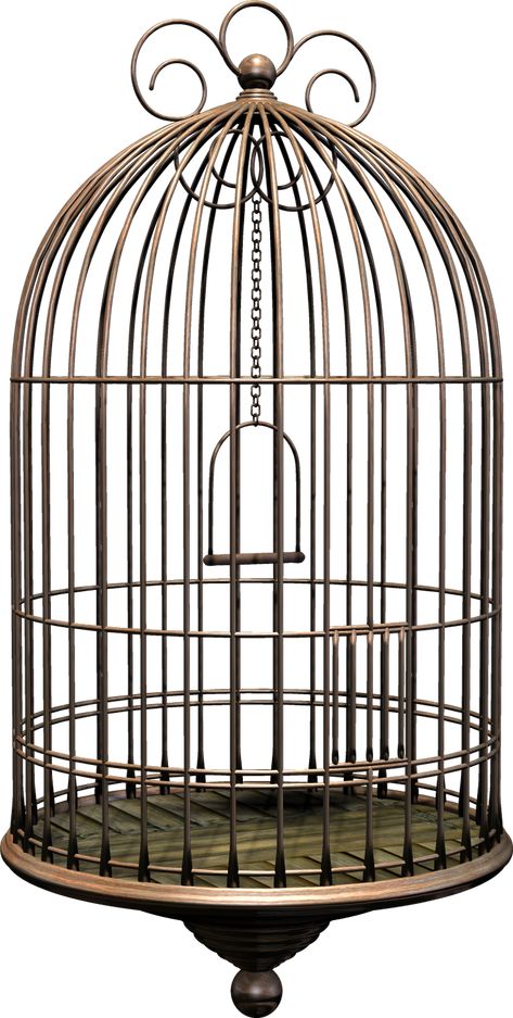 Bird Cage Cage Bird, Bird In Cage, Cage Art, Bird Cage Aesthetic, Caged Bird, Caged Bird Aesthetic, Bird Cage Aesthetic Dark, Bird Out Of Cage, Victorian Bird Cage