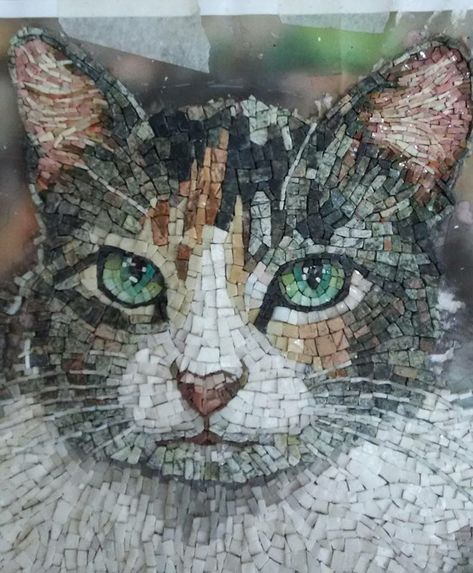 Cool Cat Mosaic Mosaic Portrait, Art Pierre, Mosaic Animals, Mosaic Madness, Mosaic Art Projects, Mosaic Tile Art, Glass Mosaic Art, Mosaic Artwork, Art Stained