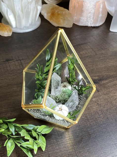 Crystal Garden Terrarium, Crystal Terrarium Diy, Crystal Display Ideas, Clay Pumpkins, Crystal Terrarium, Crystal Ideas, Crystal Room Decor, Terrarium Kit, Magical Decor