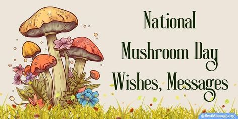 National Mushroom Day Cute Mushroom Sayings, Mushroom Sayings, Mushroom Quotes, Happy Mushroom, Messages Quotes, Cute Mushroom, Birthday Letters, Wishes Messages, Day Quotes