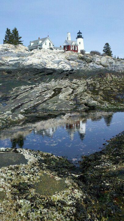 Pemaquid Point, Maine Pemaquid Lighthouse, New Harbor Maine, Maine New England, Maine State, Maine Lighthouses, Hearty Congratulations, Tidal Pool, Maine Vacation, New England States