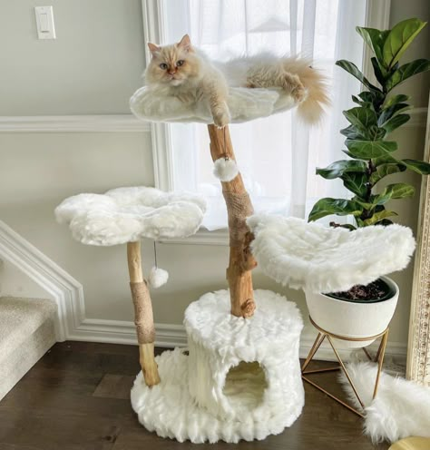 Cute Cat Beds Aesthetic, Bedroom With Cat Tree, Aesthetic Cat Setup, Cat Tree Flower, Aesthetic Cat Bed, Flower Cat Tree, Cute Cat Bed, Kitten Room Ideas, Cat Beds