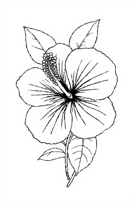 Check Out This Hibiscus Flower In Line Drawing & 12+ Other Hibiscus Drawing Ideas! #drawing #drawingideas How To Draw A Hibiscus Flower, Raindrop Drawing, Hibiscus Drawing, Hibiscus Flower Drawing, Leaves Sketch, Conservation Art, Mouse Drawing, Space Drawings, Flower Line Drawings