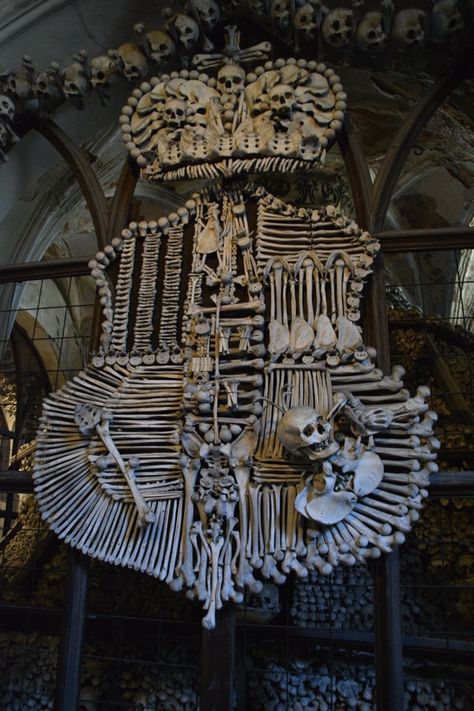 Sedlec Ossuary, Skulls And Bones, Human Bones, Bone Art, Chur, Skull And Bones, Memento Mori, Coat Of Arms, Prague