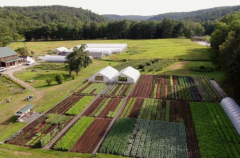 Homestead Layout, Farm Plans, Vegetable Farming, Farm Layout, Farm Lifestyle, Market Garden, Farm Design, Vegetable Garden Design, Home Cinema