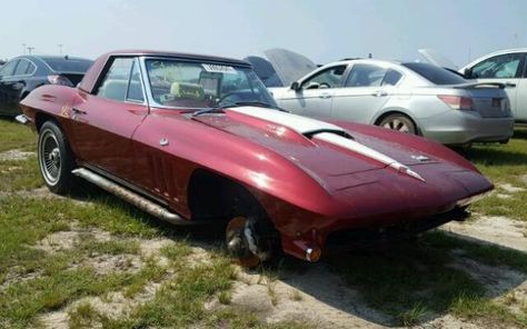 Waterlogged Sting Ray: 1966 Chevrolet Corvette #Projects #Chevrolet, #Corvette - http://barnfinds.com/waterlogged-sting-ray-1966-chevrolet-corvette/ 1966 Corvette Stingray, 1967 Corvette Stingray, Used Corvette, Car Bar, Car Barn, Chevrolet Corvette Stingray, Clean Your Car, Repair Guide, Corvette Stingray