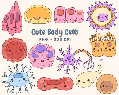 T Cells, Chloroplast Drawing, Cells Drawing, Human Cell, Human Cells, Laboratory Art, Cell Drawing, Biology Drawing, Eukaryotic Cell