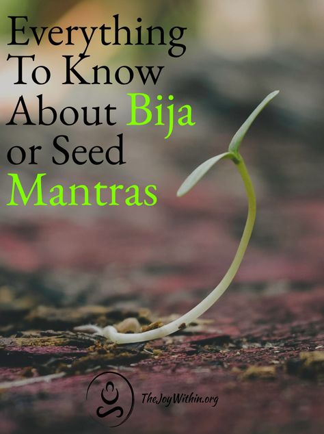 Learn how to use Bija, or Seed, Mantras to directly open, purify, nourish, and balance your chakras. Bija Mantra, What Is A Mantra, Holistic Home, Healing Mantras, Soul And Spirit, Chakra System, Seven Chakras, Life Force Energy, You're Amazing