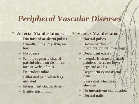 PVD vs PAD manisfestations Peripheral Vascular Disorders, Pvd Nursing, Livedo Reticularis, Peripheral Artery, Legs Exercise, Vascular Ultrasound, Medical Diagnosis, Diagnostic Medical Sonography, Lpn Schools