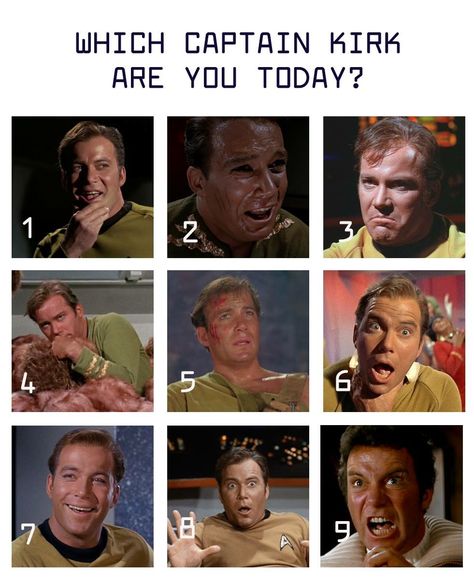 Star Trek: Captain Kirk Captain Kirk Funny, Picard Quotes Star Trek, Star Trek Data Funny, Star Trek Tattoo, Teacher Info, Star Trek 1966, Star Trek Tos Memes Hilarious, Feeling Pictures, Star Trek Movie 2009