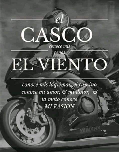 Frases Bikers, Motorcycle Garage, Harley Davidson, Life Quotes, Cars Trucks, Quotes