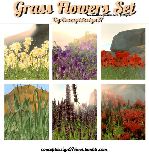 TS4 - Grass Flowers Set (EP02)Download : Mediafire | SimFileShare • Including 6 elements : 1 Grass & 5 Flowers • Categorie : Flower & Shrub • ⚑ Require the expansion pack “Get together” (EP02) • If... Sims 4 Realistic Build Cc, Sims4 House, Los Sims 4 Mods, Ts4 Poses, 6 Elements, Grass Flowers, Outside Plants, Sims 4 Studio, Sims 4 Mm Cc