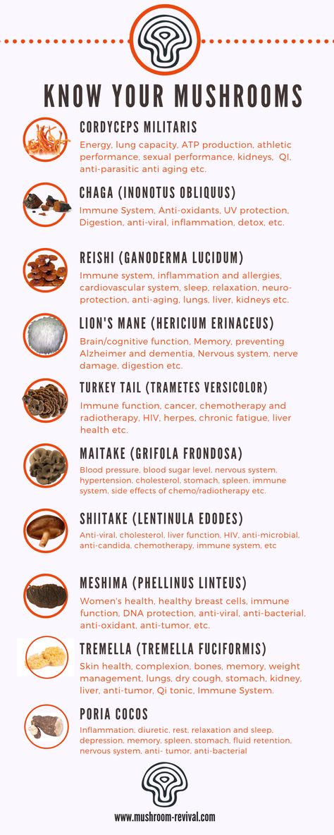 Adaptogen Mushroom Benefits, Health Benefits Of Lions Mane, Turkey Tail Benefits, Tremella Mushroom Recipes, Mushrooms For Healing, Maitake Mushroom Benefits, Mushroom Turkey Tail, Maitake Benefits, Turkey Tail Mushroom Recipes