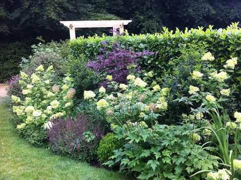 Planting with  Hydrangea paniculata 'limelight' Acer palmatum 'Bloodgood' and Salvia nemrosa Caradonna. Oak pergola in background. Hydrangea Garden Border, Hydrangea And Salvia, Hydrangea And Allium Garden, Hydrangea Limelight Combination, Hydrangea Bed, Driveway Planting, Hydrangea Border, Hydrangea Limelight, Oak Pergola