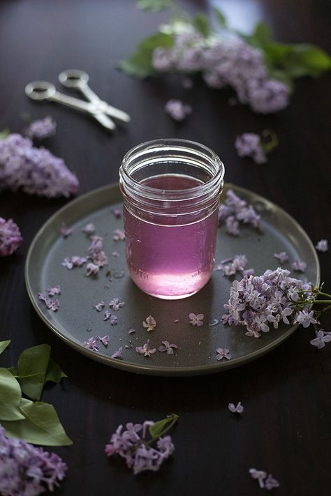 How to Make Lilac Simple Syrup - Moody Mixologist Lilac Simple Syrup, Lilac Recipes, Moody Mixologist, Lilac Syrup, Floral Food, Ramos Gin Fizz, Lavender Cocktail, Infused Sugar, Canning Ideas