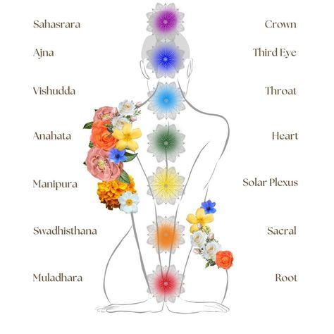 The 7 Chakras Imagine your gorgeous body as a complex and beautifully designed energy system. Your own internal battery. Just like your physical body has vital organs that keep you alive and well, your energy body has seven key energy centers called chakras. These chakras work together to keep your energy flowing smoothly. When they’re balanced and open, you feel vibrant and harmonious. Sometimes, chakras can get blocked or overactive, leading to physical or emotional discomfort. Practice... The 7 Chakras, Energy Centers, Your Gorgeous, Energy Flow, Energy System, 7 Chakras, Chakra, How Are You Feeling, Energy