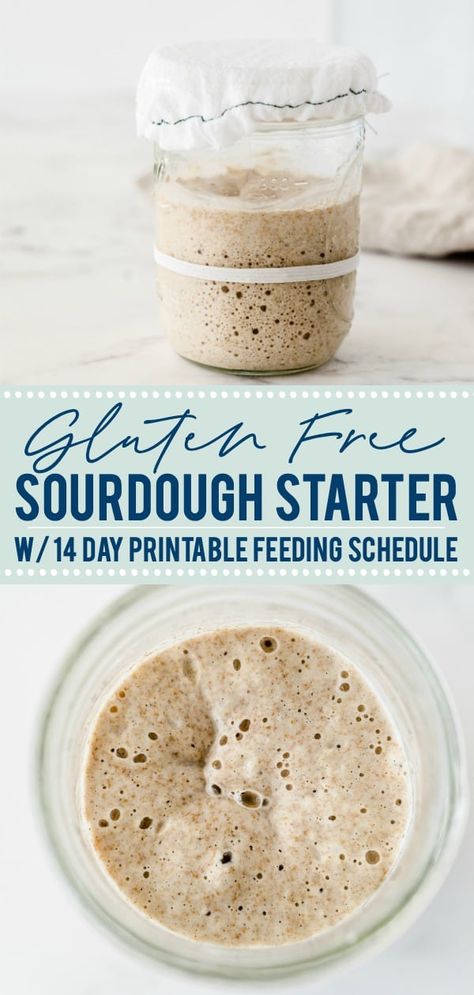 Aip Bread, Cooking Knowledge, Make Sourdough Starter, Gf Ideas, Make A Sourdough Starter, Gluten Free Sourdough Starter, Gluten Free Sourdough Bread, Paleo Breads, Country Food