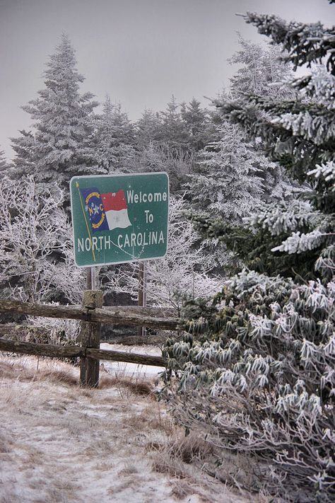 North Carolina Countryside, North Carolina Wallpaper, North Aesthetic, North Carolina Aesthetic, North Carolina Forest, North Carolina Winter, Mountains North Carolina, Roan Mountain, Carolina Do Norte