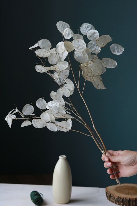 Lunaria Plant, Dried Lunaria, Silver Dollar Plant, Dollar Plant, Flower Pot Design, Rustic Bouquet, Money Plant, Pot Designs, Dried Flower Bouquet