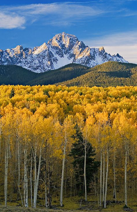 San Juan Mountains Colorado, Mountains Colorado, San Juan Mountains, Aspen Trees, Colorado Travel, Autumn Scenery, Photography For Beginners, Colorado Mountains, Landscape Photos