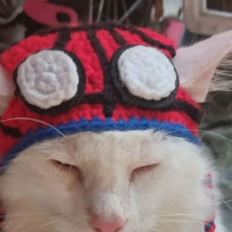 Spiderman Hat, Batman Cat, Spiderman Spiderverse, Spiderman Mask, Crochet Pet, Crochet Cat, Silly Cats, Crochet Gifts, Crochet Animals