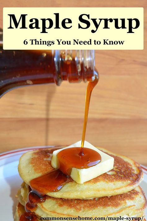 Maple Simple Syrup Recipe, Health Benefits Of Maple Syrup, Maple Syrup Replacement, Healthy Syrup, Evaporator Maple Syrup, Organic Maple Syrup, Processed Sugar, Flavored Syrup, Pure Maple Syrup