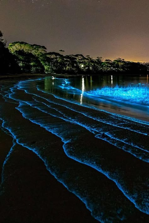 Bioluminescence Water, Bioluminescent Algae, Ocean At Night, Sea Of Stars, Outdoor Fairy Lights, Australian Beach, Beach Wallpaper, Paradise On Earth, Beautiful View