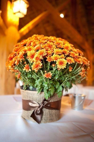 10 Easy DIY Fall Wedding Table Centerpiece Ideas Fall Wedding Mums, Potted Mums, Fall Wedding Tables, Fall Mums, Fall Wedding Diy, Fall Wedding Centerpieces, Rustic Fall Wedding, Pumpkin Centerpieces, Fall Wedding Flowers