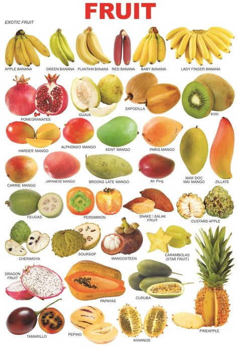 Meyvelerin İngilizce isimleri ve resimleri, İngilizce meyve isimlerinin resimli anlatımı. Tropikal ya da normal her türlü meyvenin resimli İngilizce karşılığı Fruits And Vegetables List, Fruit Names, List Of Vegetables, Food Vocabulary, Different Fruits, English Food, Exotic Fruit, Food Facts, Fruit And Veg