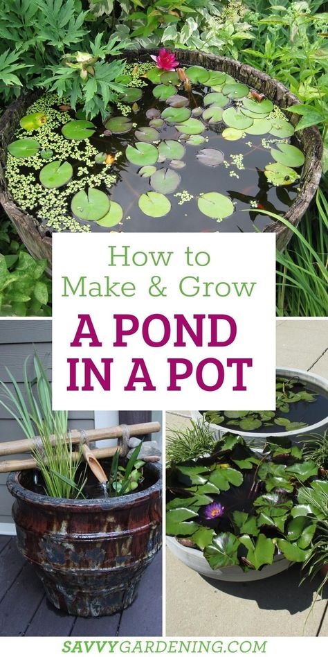 Easy Maintain Garden, Small Pond For Garden, Little Pond Ideas Small Gardens, Potted Water Garden, Small Plant Garden Ideas, Water Garden In A Pot, Easy Backyard Pond, Outdoor Garden Ideas Backyards Easy Diy, Diy Planter Water Feature