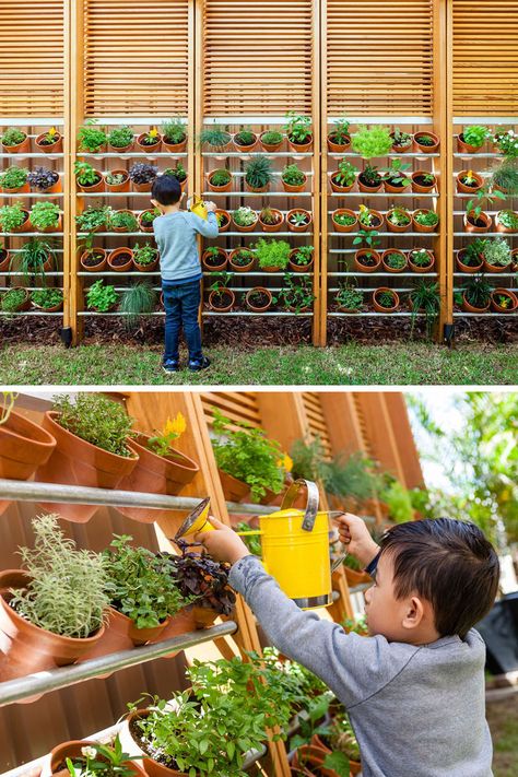 Garden Ideas - This modern garden wall showcases an expansive herb garden, with each plant in individual pots, making it easy to care for them. #HerbGarden #GardenIdeas #LandscapeIdeas School Veggie Garden, Waldorf Garden Ideas, Garden Rooftop, Garden Diy Furniture, Garden Concrete, Ladder Ideas, Herb Wall, Recycled Brick, Diy Herb Garden