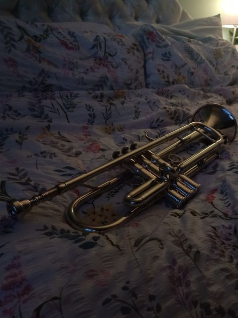 Trumpet Aesthetic, Orchestra Aesthetic, Pretty Instruments, Musician Aesthetic, Play Trumpet, Jazz Trumpet, Trumpet Music, Trumpet Players, Drum Major