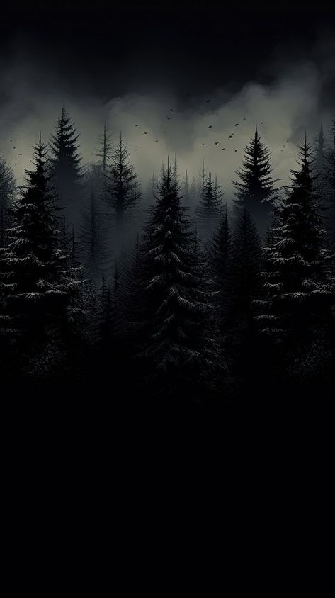 Forest outdoors nature plant.  | premium image by rawpixel.com Dark Wallpaper Nature, Black Forest Wallpaper, Wallpaper Black Dark, Dark Nature Wallpaper, Black Scenery, Dark Forest Background, Dark Forest Wallpaper, Iphone Wallpaper Dark, Dark Forest Aesthetic