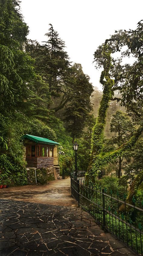 Mussoorie - the Garhwal Himalayan Ranges -1 Lbsnaa Mussoorie Wallpaper, Indian Scenery, Uttarakhand Culture, Fairies And Elves, Peaceful Morning, India Travel Places, Hiking Places, Holiday Travel Destinations, Mussoorie