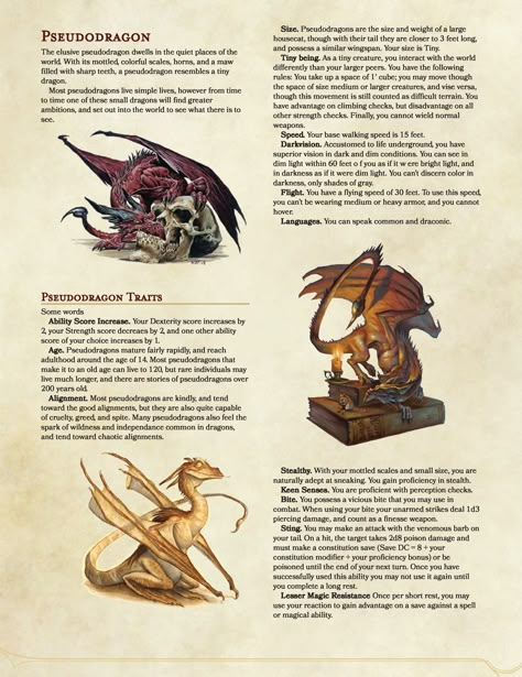 Dnd Pets, Homebrew Races, Dragon Dnd, Dungeons And Dragons Races, D D Races, Dnd Dm, Dnd Creatures, Mythical Monsters, Dnd Classes