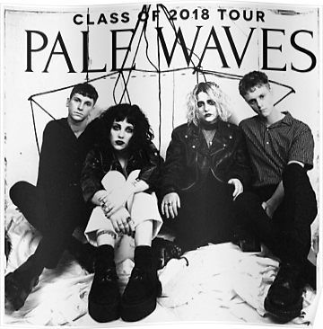 Waves Poster, Pale Waves, Punk Culture, Wave Poster, Blue Poster, Dad Bod, Band Posters, Post Punk, Room Posters