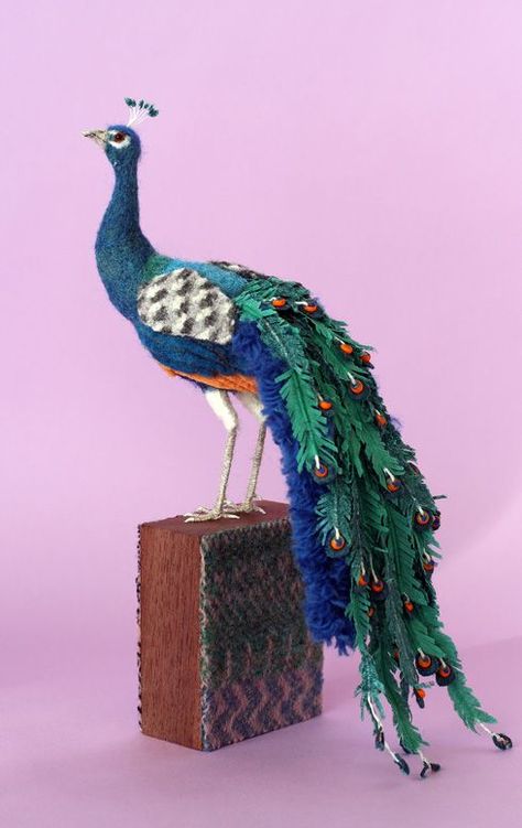 *NEEDLE FELT ART ~ felt peacock: Felt Peacock, Peacock Crafts, Peacock Pictures, Felted Art, Textile Sculpture, Crochet Birds, Peacock Art, Paper Birds, Bird Crafts