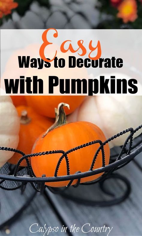 It's October and time to start decorating our homes for fall and Halloween. Here are some simple ways to decorate your home with pumpkins. Includes ideas for styling white pumpkins and orange pumpkins. From fall porch decor with pumpkins to pumpkin vignettes along with pumpkin crafts and DIY projects. Pumpkin everything! Decorate With Pumpkins Indoors, Decorating With Mini Pumpkins, Decorating With Small Pumpkins, Decorate With Glass Pumpkins, Pumpkins Spilling Out Of Basket, Decorating With Pumpkins, How To Decorate A Wire Pumpkin Frame, Fall Wire Basket Ideas, Decorate Wire Pumpkin