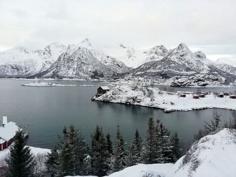 Norway Mountains Winter, Norse Winter Aesthetic, Scandinavian Winter Aesthetic, Norway Aesthetic Winter, Snowy Island, Norwegian Aesthetic, Norse Aesthetic, Dark Deck, Norway Aesthetic