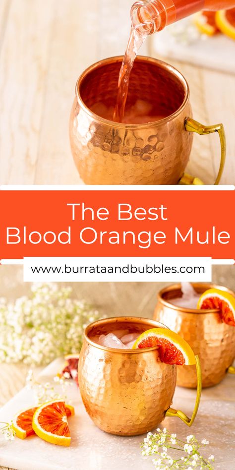 Fun Moscow Mule Recipes, Types Of Mules Drinks, Holiday Moscow Mule Pitcher, Fall Mules Cocktail, Ginger Mule Cocktail, Blood Orange Ginger Beer Cocktail, Halloween Moscow Mule, Moscow Mule Recipe Best, Orange Liquor Drinks