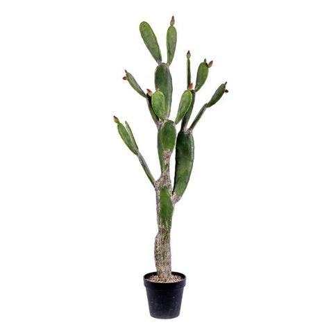 Vickerman Artificial Potted Cactus : Target Fake Cactus Plants, Fake Cactus, Tall Cactus, Large Cactus, Types Of Cactus, Artificial Cactus, Potted Cactus, Faux Cactus, Artificial Plants And Trees