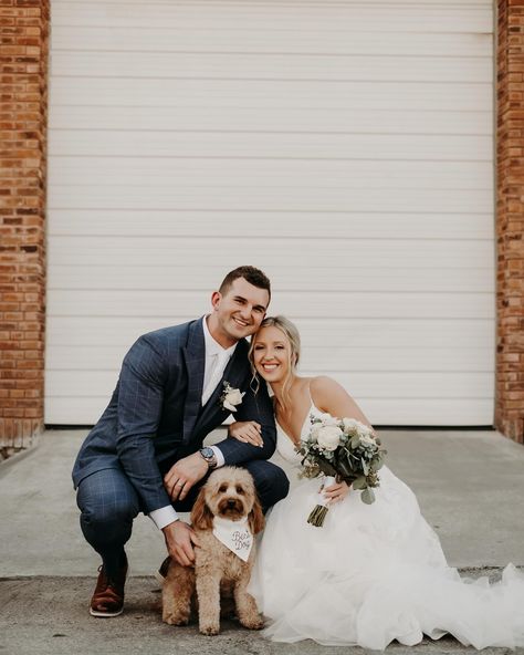 POV :: Delaney + Zach’s wedding day 🩵 // 📷 :: @katyelainephotography #swbbkcbride Pictures With Dogs, Wedding Day Poses, Something White, Wedding Portrait Poses, Wedding Picture Poses, White Bridal, Portrait Poses, Party Planner, Picture Poses