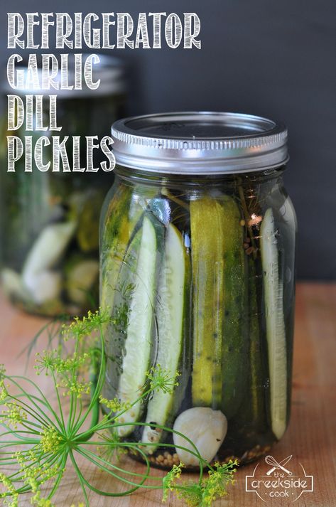 Refrigerator Garlic Dill Pickles - Easy to Make and So Delicious Diy Pickles, Fridge Pickles, Pickles Canning, Garlic Pickles, Homemade Pickles Dill, Canning Pickles, Refrigerator Pickles, Growing Cucumbers, Homemade Pickles