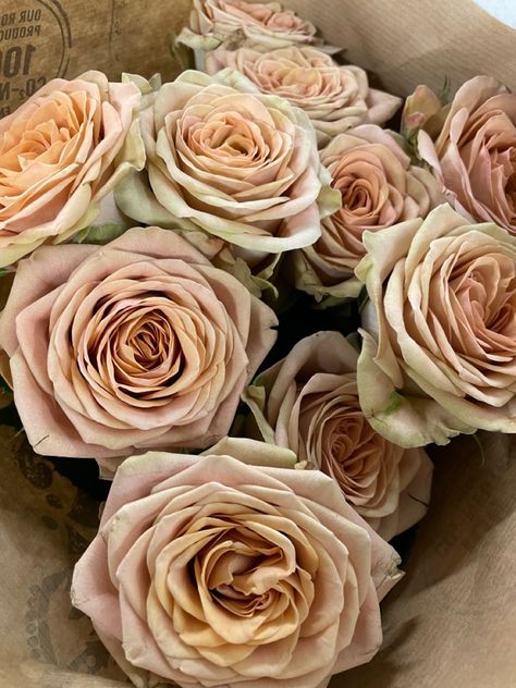 Cappucino Rose Wedding, Cappucino Rose Bouquet, Cream Colored Houses, Vip Roses, Czech Wedding, Tan Roses, Flowers Fade, Dusty Pink Roses, Brown Roses