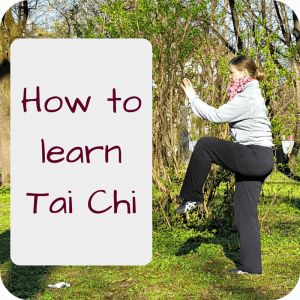 Do you wonder how to learn Tai Chi Chuan (or Taijiquan)? I've been learning it for some years now and share what I recommend Tai Chi beginners. Yang Style Tai Chi, Tai Chi Moves, Learn Tai Chi, Tai Chi For Beginners, Tai Chi Exercise, Qigong Exercises, Tai Chi Qigong, Chi Kung, Tai Chi Chuan